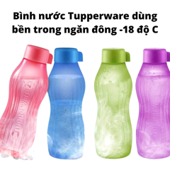 Bình Nước Ngăn Đông Tupperware 880ml