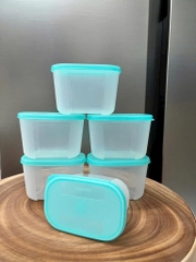 Hộp  Tupperware Trữ Đông Thường 300ml - Tupperware Trung Chính Hãng