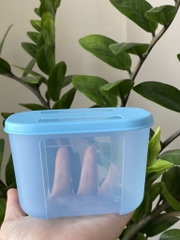 Hộp  Tupperware Trữ Đông Thường 300ml - Tupperware Trung Chính Hãng