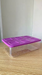 Bộ 5 Hộp Tupperware Trữ Khô Clearmate - Tím Nhựa Trong - Tupperware Malaysia Chính Hãng