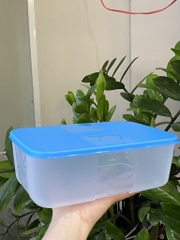 Hộp Tupperware Đông 1.7L - Tupperware Trung Chính Hãng