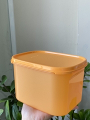 Tuptrung Hộp Tupperware mát colorful 1.9lit (4 màu)