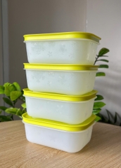 Hộp Lẻ Tupperware Đông Dẻo 450ml
