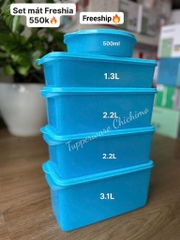 Hộp Tupperware Freshia Xanh