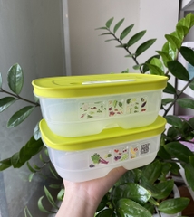 Hộp  Tupperware Ventsmart  - Có Nút Hô Hấp - Tupperware Trung Chính Hãng