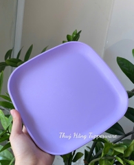 Tuptrung Đĩa Vuông 20cm (1 Cái)