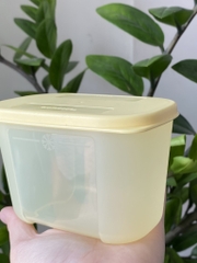 Hộp  Tupperware Trữ Đông Thường 300ml - Tupperware Trung Chính Hãng