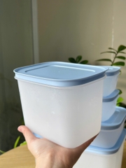 Hộp đựng thực phẩm Tupperware trữ đông Gen II - New Tupperware