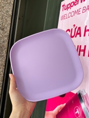 Tuptrung Đĩa Vuông 20cm (1 Cái)