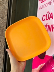 Tuptrung Đĩa Vuông 20cm (1 Cái)