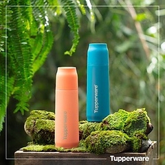 Bình Giữ Nhiệt Tuperware Buddy 520ml - Tupperware Chính Hãng