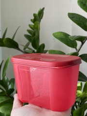 Hộp  Tupperware Trữ Đông Thường 300ml - Tupperware Trung Chính Hãng
