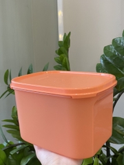 Tuptrung Hộp Tupperware mát colorful 1.9lit (4 màu)