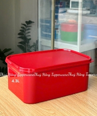 Tuptrung - Hộp Kimchi Full Đỏ Không Quai