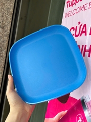 Tuptrung Đĩa Vuông 20cm (1 Cái)