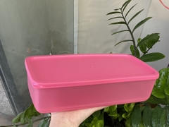 Hộp Tupperware Pak n stor 1.4L - Tupperware Chính Hãng