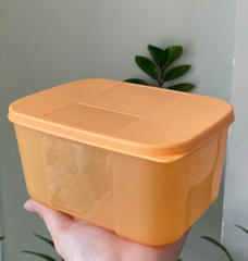 Tuptrung - Hộp Đông 650ml Basic Thân Màu