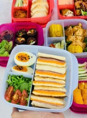 Hộp Cơm Tupperware Lolly Tup - Màu Mới 2023 - Tuppe4rware Malaysia Chính Hãng