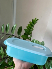Hộp Dùng Lò Vi Sóng Dạng Chữ Nhật 1L Tupperware