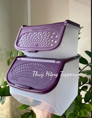 Tupmalay Hộp Đựng Hành Tỏi Thân Trong Nắp Tím (01 Hộp)