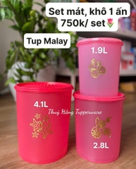 Tupmalay Set Hộp Hình Trụ Khô One Touch Có Hình Giữa Thân (01 Set)