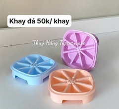 Khuôn Làm Kem Ice Cube - Tupperware Malaysia Chính Hãng