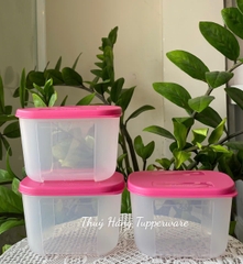 Hộp  Tupperware Trữ Đông Thường 300ml - Tupperware Trung Chính Hãng