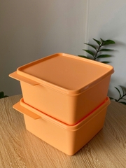 Hộp Tupperware Trữ Mát Vuông Snack & Stack - Tupperware Malaysia Chính Hãng