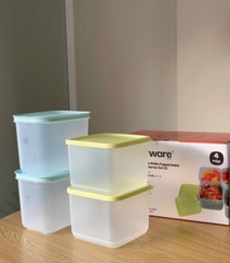Bộ 4 Hộp Tupperware Trrữ Đông/Mát Starter Set II - New Tupperware Chính Hãng