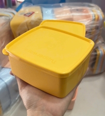 Hộp Tupperware Trữ Mát Gen l 400ml - Tupperware Trung Chính Hãng
