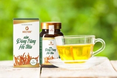 dong-trung-ha-thao-dang-soi-say-kho-hector