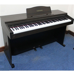 Đàn piano điện Casio AP75