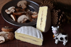 Phô mai L' ORTOLAN Truffe Brie 135gr