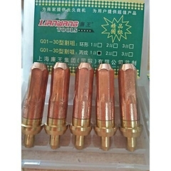 Bép cắt gas G01-30