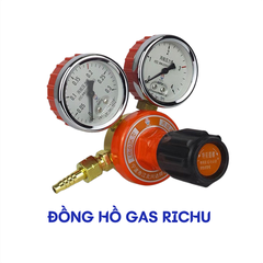 Đồng hồ gas Richu