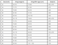 Ký hiệu size áo lót