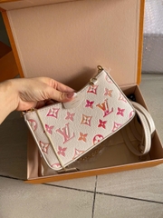 Louis Vuitton easy pouch