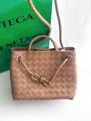 Bottega Veneta Andiamo Small