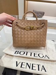 Bottega Veneta Andiamo Small