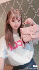 Túi Gucci Mamont top handle