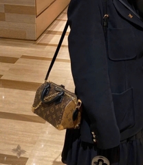 Túi Xách Louis Vuitton Side Trunk