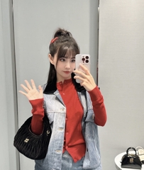 Miu Miu Hobo Small