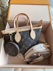 Túi Louis Vuitton Neverfull Mini