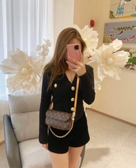 Túi Louis Vuitton Ivy Mono