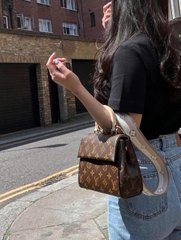 Louis Vuitton Clunny Mini
