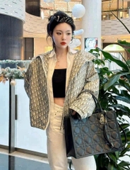 Túi Dior tote