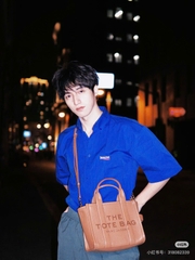 Túi Tote Nữ Marc Jacobs Women's Brown The Small Tote Leather Bag