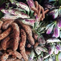 Chuối Hột Rừng Tây Nguyên chín nguyên quả sấy khô