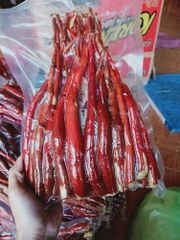 Sâm Cau Đỏ Tây Bắc