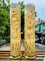 Bình Đinh Lăng nếp lá nhỏ